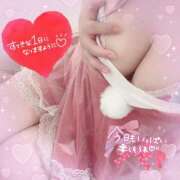 ヒメ日記 2025/04/09 10:06 投稿 りりあ 岡山人妻デリヘルLipKiss