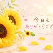 ヒメ日記 2026/07/11 16:55 投稿 今田央花 イマジン東京