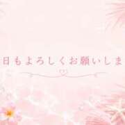 ヒメ日記 2026/07/17 10:06 投稿 今田央花 イマジン東京