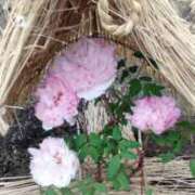 ヒメ日記 2025/01/23 21:32 投稿 あずさ 熟女総本店