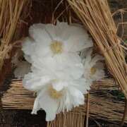 ヒメ日記 2025/01/23 22:23 投稿 あずさ 熟女総本店