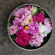 ヒメ日記 2025/01/24 20:27 投稿 あずさ 熟女総本店