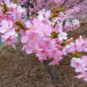 ヒメ日記 2025/04/03 20:55 投稿 あずさ 熟女総本店