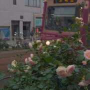 ヒメ日記 2025/05/22 18:25 投稿 あずさ 熟女総本店