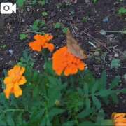 あずさ 愛のメイドあずさ　💏💋💆❤️⤴️⤴️ 熟女総本店