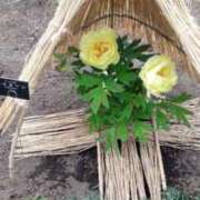 あずさ お礼の日記　💏🙇❤️⤴️ 熟女総本店