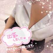 ヒメ日記 2025/10/19 12:51 投稿 小峰　かほ NADIA神戸店