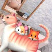 ヒメ日記 2025/05/04 11:20 投稿 恵美莉-えみり 熟女10000円デリヘル 川崎