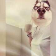 ヒメ日記 2025/05/15 15:24 投稿 恵美莉-えみり 熟女10000円デリヘル 川崎