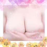 れな 明日♡ 立川ちゃんこ