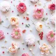 ヒメ日記 2025/04/05 08:05 投稿 あおい 京都人妻デリヘル倶楽部