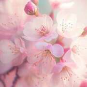 ヒメ日記 2025/04/06 08:53 投稿 あおい 京都人妻デリヘル倶楽部