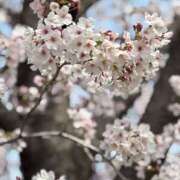 ヒメ日記 2025/04/10 07:54 投稿 あおい 京都人妻デリヘル倶楽部