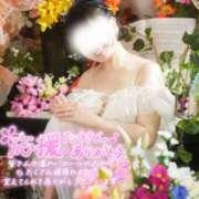 ヒメ日記 2025/04/23 22:55 投稿 あおい 京都人妻デリヘル倶楽部