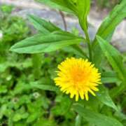 ヒメ日記 2025/04/30 07:59 投稿 あおい 京都人妻デリヘル倶楽部