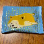 ヒメ日記 2025/05/29 07:26 投稿 あおい 京都人妻デリヘル倶楽部