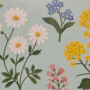 ヒメ日記 2025/07/20 07:39 投稿 あおい 京都人妻デリヘル倶楽部