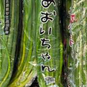 ヒメ日記 2025/07/22 08:22 投稿 あおい 京都人妻デリヘル倶楽部