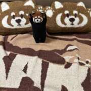 ヒメ日記 2026/02/15 08:36 投稿 あおい 京都人妻デリヘル倶楽部