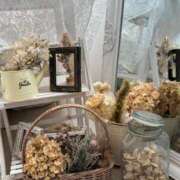 ヒメ日記 2026/03/16 07:04 投稿 あおい 京都人妻デリヘル倶楽部