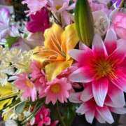 ヒメ日記 2026/04/11 07:48 投稿 あおい 京都人妻デリヘル倶楽部