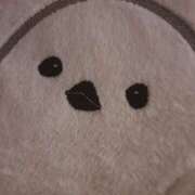 ヒメ日記 2025/05/06 02:49 投稿 ちょこ サンキュー福岡店