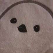 ヒメ日記 2025/06/10 02:59 投稿 ちょこ サンキュー福岡店