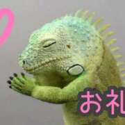 ヒメ日記 2025/10/22 04:19 投稿 ちょこ サンキュー福岡店