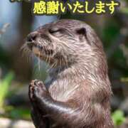 ヒメ日記 2025/12/17 14:49 投稿 ちょこ サンキュー福岡店