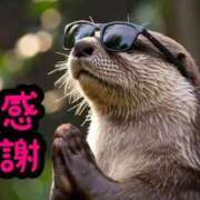 ヒメ日記 2026/01/18 00:05 投稿 ちょこ サンキュー福岡店