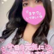 ヒメ日記 2025/04/23 10:30 投稿 まどか ぽっちゃり巨乳専門店 町田相模原ちゃんこ