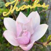 ヒメ日記 2025/04/06 17:28 投稿 春川 熟女の風俗最終章 横浜本店