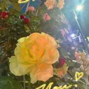 ヒメ日記 2025/05/17 22:06 投稿 春川 熟女の風俗最終章 横浜本店