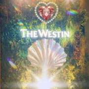 春川 大人のシンデレラタイムにお久しプリンっ❣️((◯◯)) 熟女の風俗最終章 横浜本店