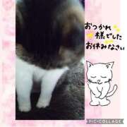 ヒメ日記 2024/12/15 01:38 投稿 こよみ 丸妻 新横浜店