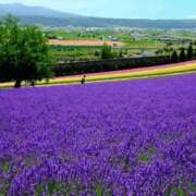 ヒメ日記 2025/05/22 16:10 投稿 こよみ 丸妻 新横浜店