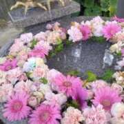 ヒメ日記 2025/06/03 18:53 投稿 こよみ 丸妻 新横浜店