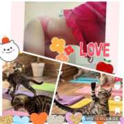 ヒメ日記 2025/08/30 19:35 投稿 こよみ 丸妻 新横浜店