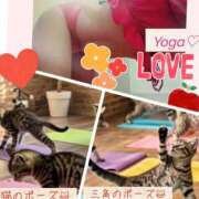 ヒメ日記 2025/11/12 09:01 投稿 こよみ 丸妻 新横浜店