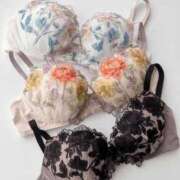 ヒメ日記 2025/12/19 15:44 投稿 こよみ 丸妻 新横浜店