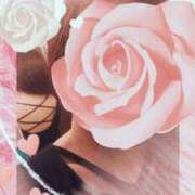 ヒメ日記 2026/01/05 14:00 投稿 こよみ 丸妻 新横浜店