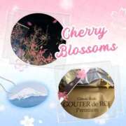 ヒメ日記 2026/02/25 08:28 投稿 こよみ 丸妻 新横浜店