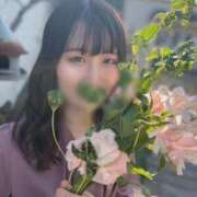 ヒメ日記 2025/04/22 09:08 投稿 つばさ 俺のKissリフレ