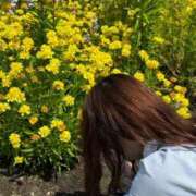 ヒメ日記 2025/06/06 09:18 投稿 つばさ 俺のKissリフレ