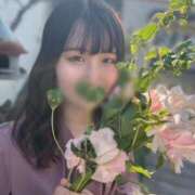 ヒメ日記 2025/09/04 12:18 投稿 つばさ 俺のKissリフレ