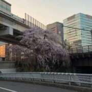 ヒメ日記 2026/04/05 12:18 投稿 つばさ 俺のKissリフレ