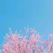 ヒメ日記 2026/04/07 07:05 投稿 美月姫【みつき】 輝女