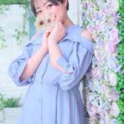 ヒメ日記 2025/03/28 17:57 投稿 ひまわり エマーブル