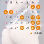 ヒメ日記 2025/04/27 10:02 投稿 ひまわり エマーブル