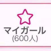 ヒメ日記 2025/06/20 09:56 投稿 ひまわり エマーブル